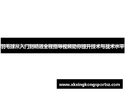 羽毛球从入门到精通全程指导视频助你提升技术与战术水平