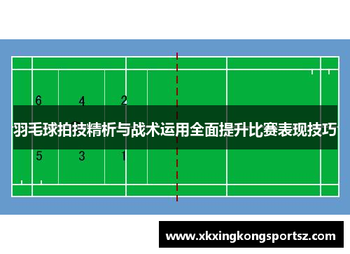 羽毛球拍技精析与战术运用全面提升比赛表现技巧